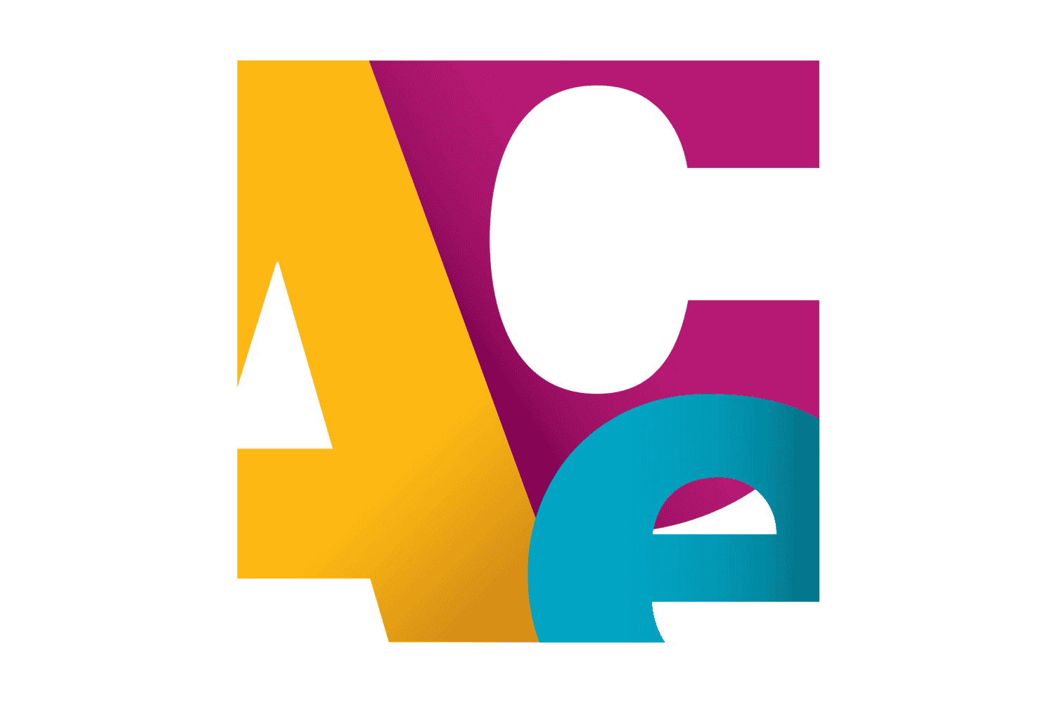 ACE Mentor Program – Greater Washington Metropolitan Area