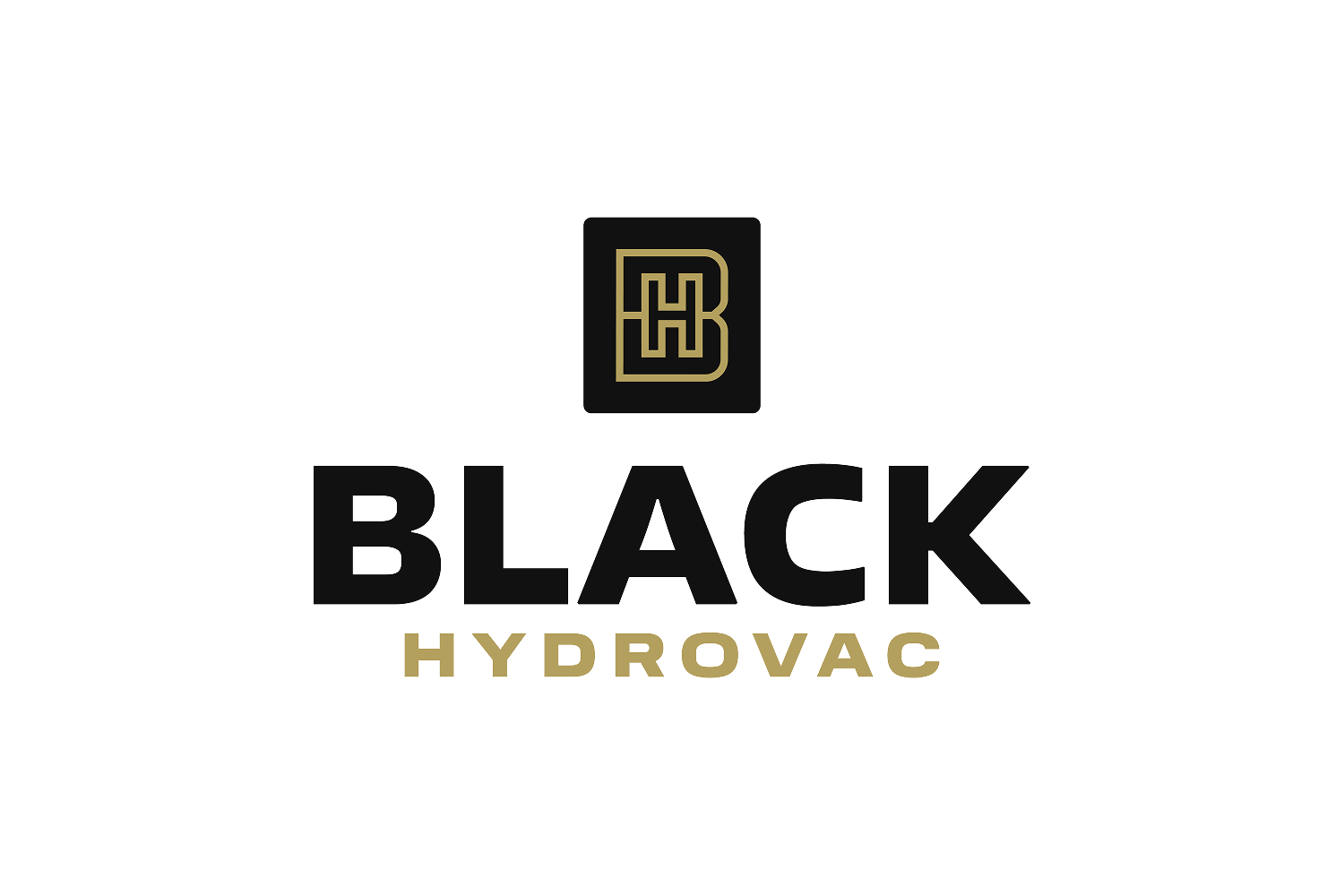 Black Hydrovac